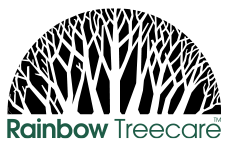 Rainbow Treecare
