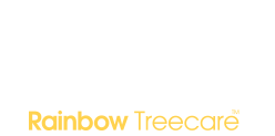 Minnesota Tree Care Experts