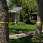 About Emerald Ash Borer