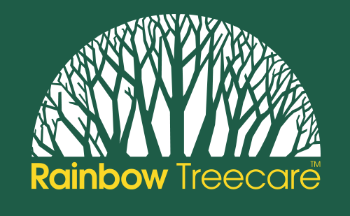 rainbow tree care reviews