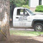 root enhancement