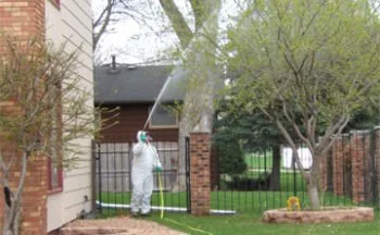 tree treatments