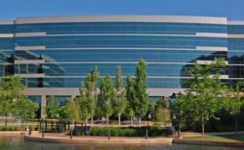 tree services for corporate campuses