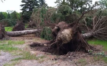 storm damage