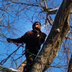 Winter Pruning
