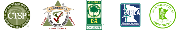 Rainbow Treecare is Certified by the TCIA, ISA, MNLA and MSA