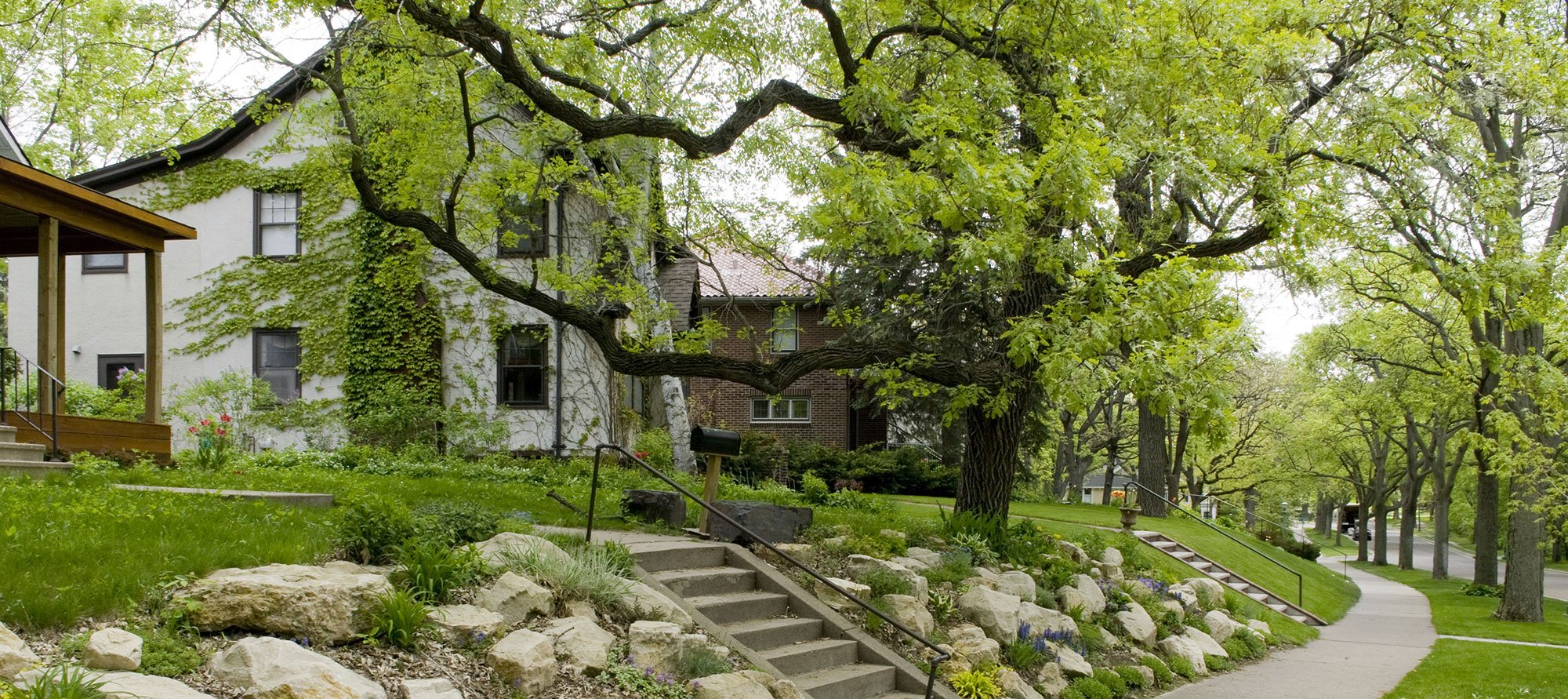 Spring Yard Clean Up Checklist Rainbow Treecare