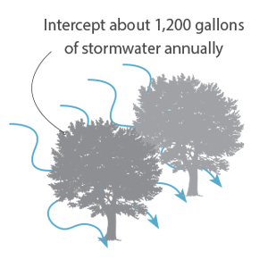 Benefit Stormwater