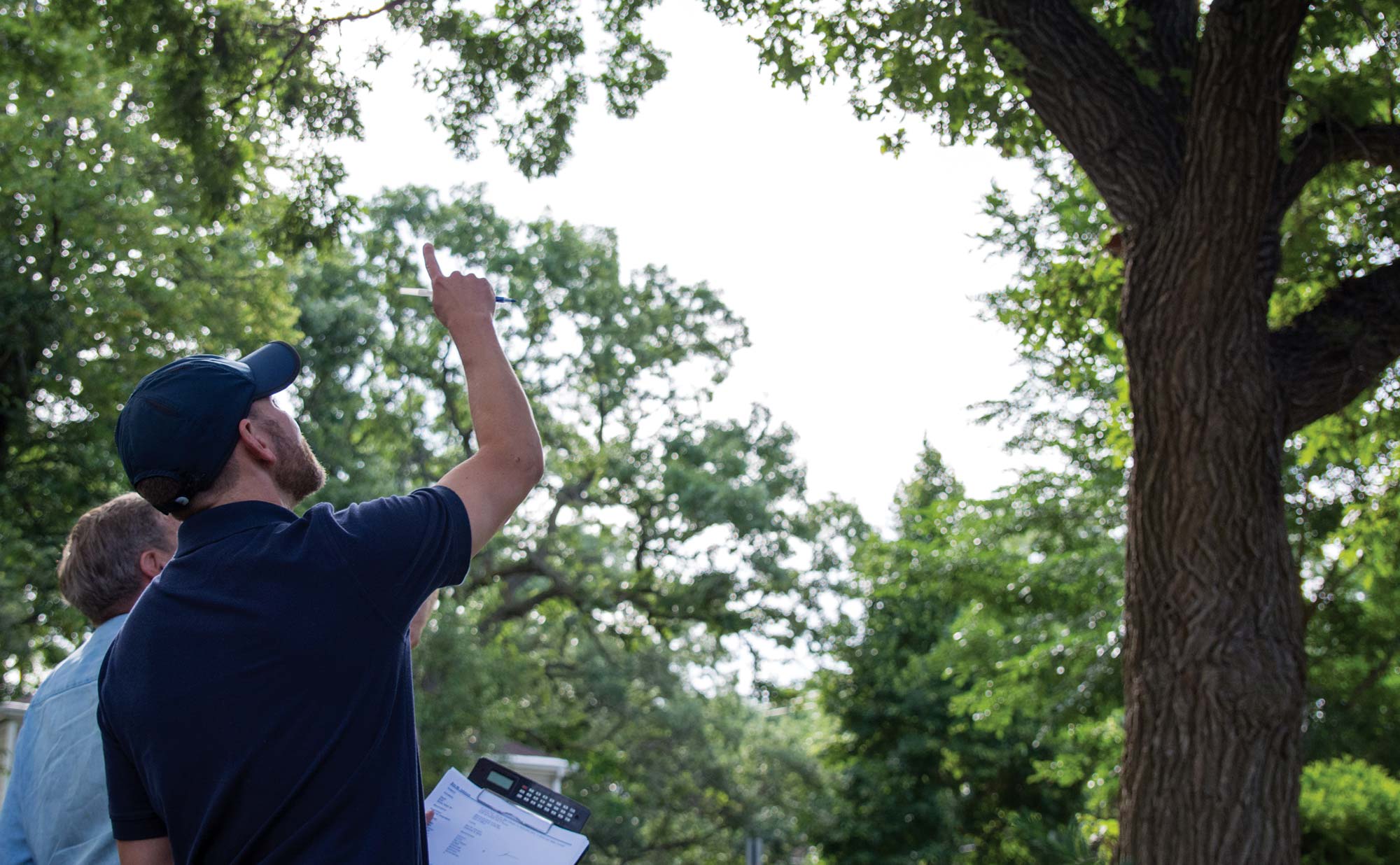 Rainbow Treecare Customers Who We Serve