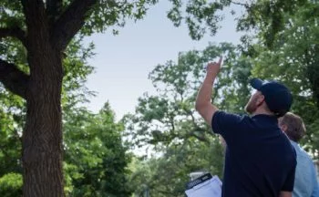 ISA Certified Arborists