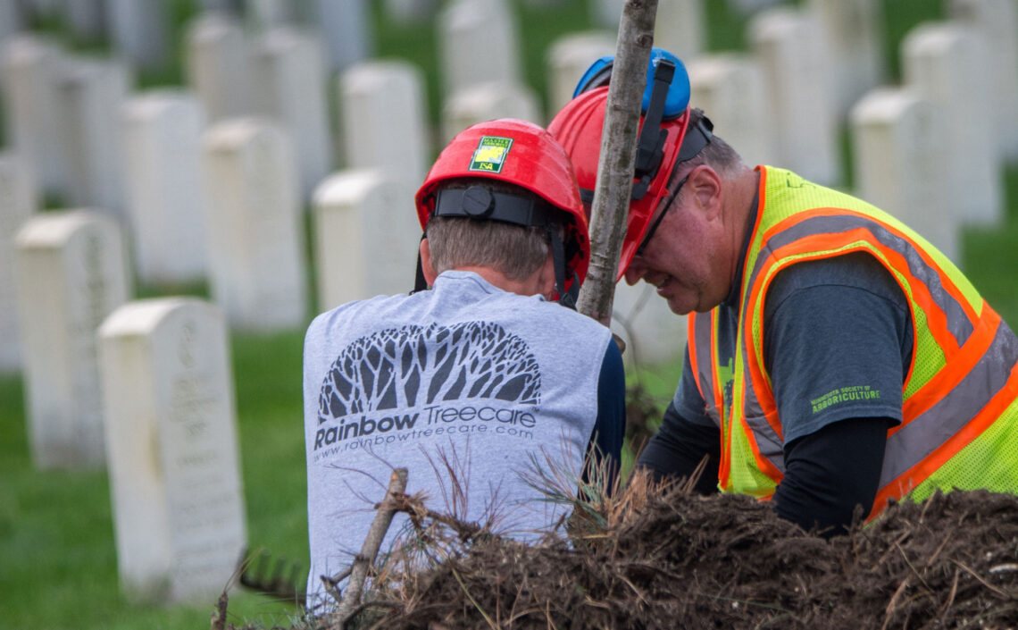 Saluting Branches Tree Planting