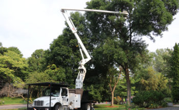 Bucket Truck to Reach High Places