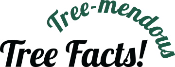 Tree-mendous Tree Facts