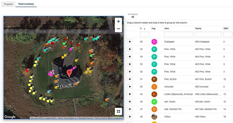Tree Inventory