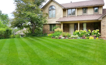 Your Lawn
