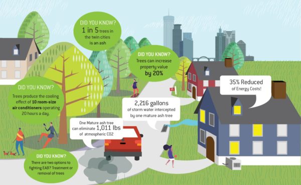 One Tree at a Time Infographic