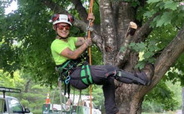 arborist climbing smiling while climbing tree