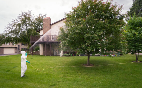 technician in white suit spraying crabapple tree to protect apple scab disease