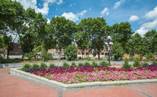 flower garden in front of trees along walk way in downtown st paul