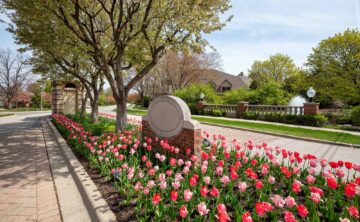 entrance to homeowners association with trees and tulips