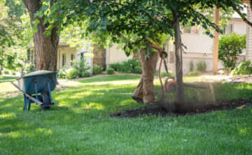 air spade breaking up compacted soil around base of young tree with wheelbarrow next to technician