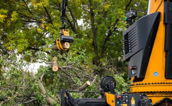Tree removal using an Articulating Grapple Saw