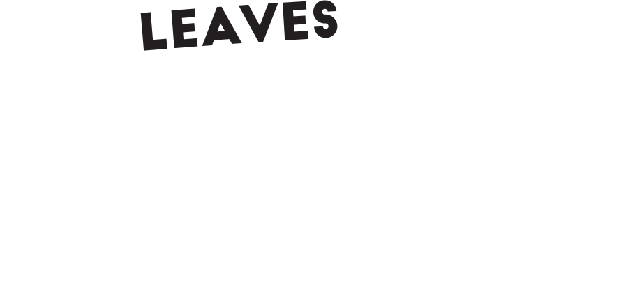 Leaves Clean our Air