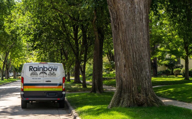 Rainbow van surrounded by large trees