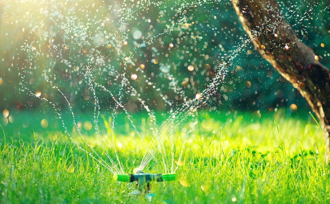 Watering the grass with a sprinkler