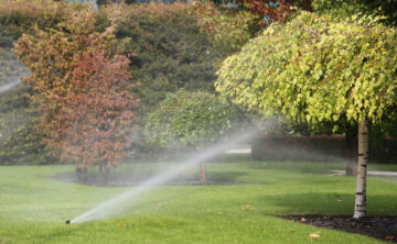 Manage Water Wisely