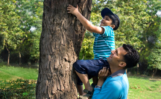 Climbing a tree can be fun