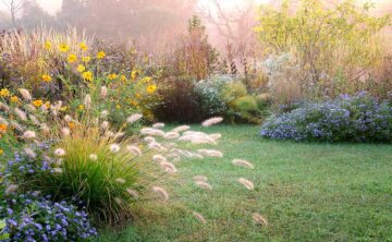 A balanced landscape with perennials and grass