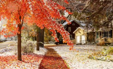 Snow arrives while leaves are still on the trees