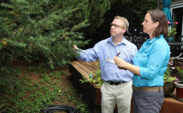 How to Select the Perfect Tree Care Service Provider