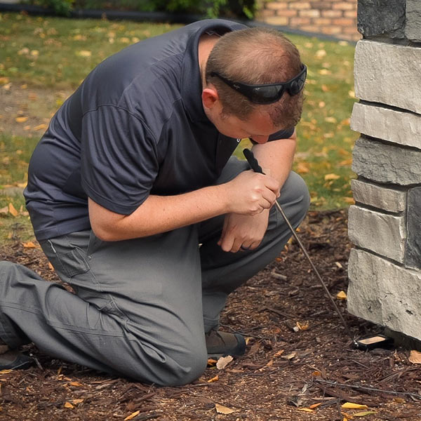 Rainbow Pest Experts