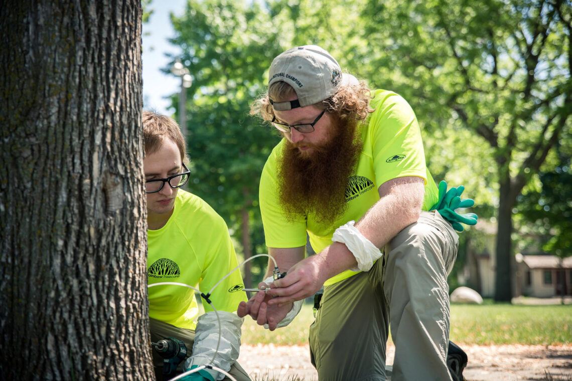 Caring for Your World: The Power of Teamwork