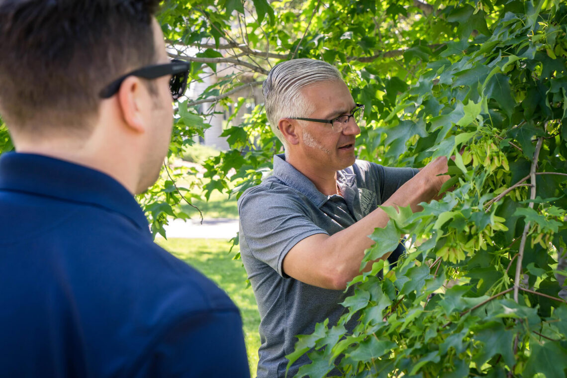 Caring for Your World: The Power of Teamwork