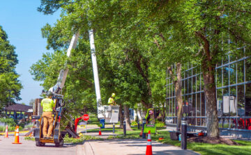 Planning Ahead: What Commercial Properties Should Review Before Budget Season