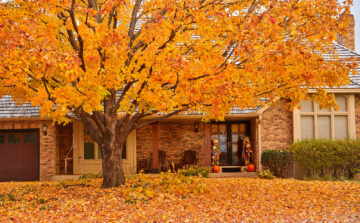 Fall Tree, Lawn, and Pest Checklist